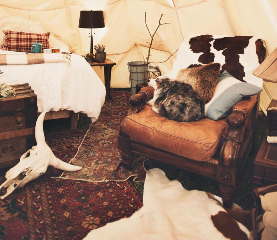 Dreamcatcher Tipi Hotel image 22