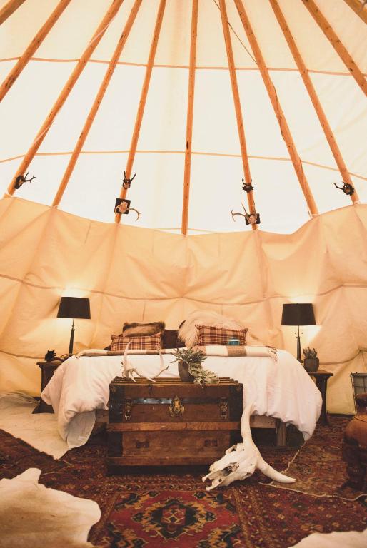 Dreamcatcher Tipi Hotel image 7